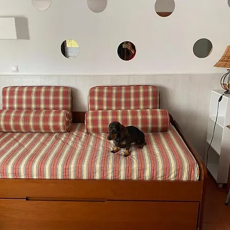 T1 Condominio Privado Em Montechoro Apartment Albufeira